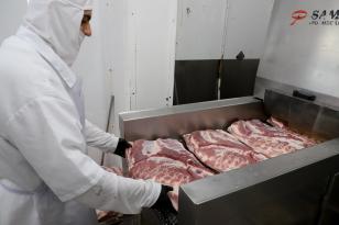 carnes_bovina e suína