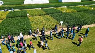 Dia de Campo da Copacol reforça o protagonismo do cooperativismo no agronegócio paranaense