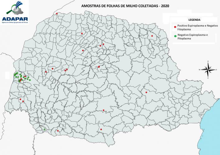 Mapa com os resultados do monitoramento do enfezamento do milho