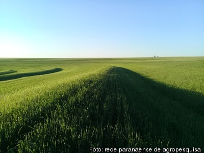 Conservação de solos