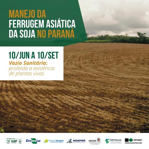 Vazio da soja é necessário