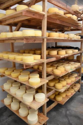 Queijo artesanal de Salgado Filho é o primeiro produto paranaense a receber o Selo Arte