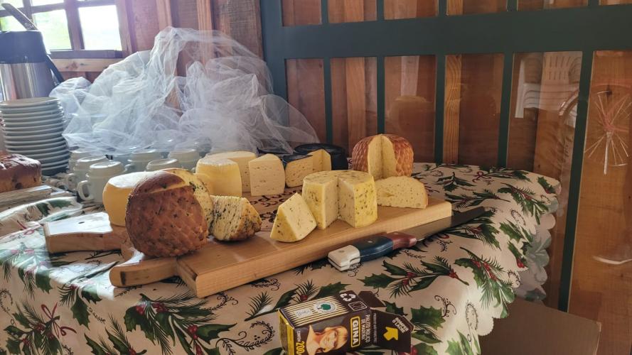 Certificação de ausência de brucelose e tuberculose garante lucratividade no ramo leiteiro