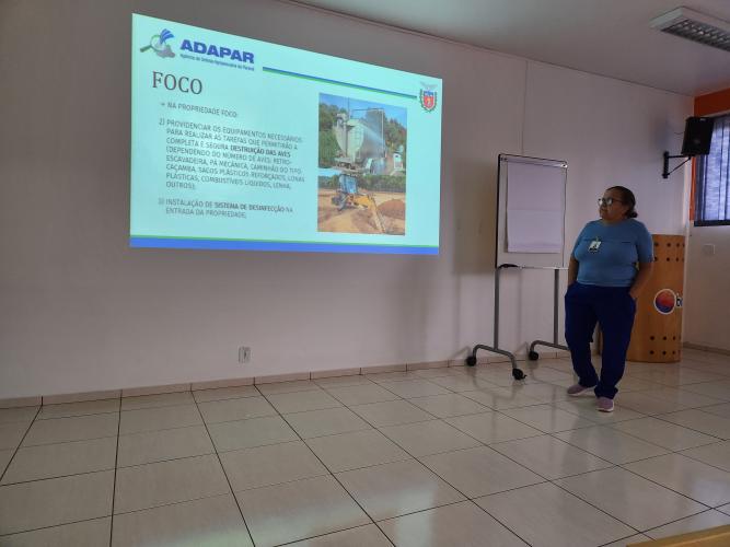 Ana Luiza de Souza Reis