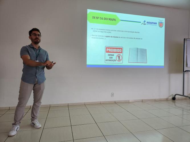 Ana Luiza de Souza Reis