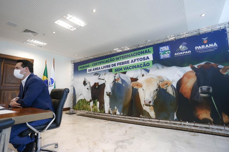 Paraná completa dois anos do status de área livre de febre aftosa sem vacinação neste sábado