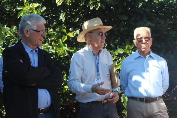 Cooperação, assistência técnica e sucessão familiar fortalecem a cafeicultura do Paraná