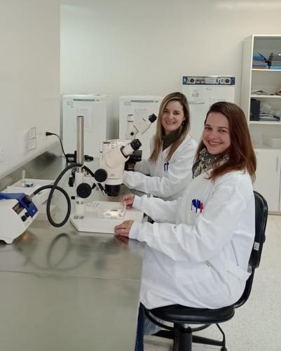 Adapar lança sistema de informação inovador