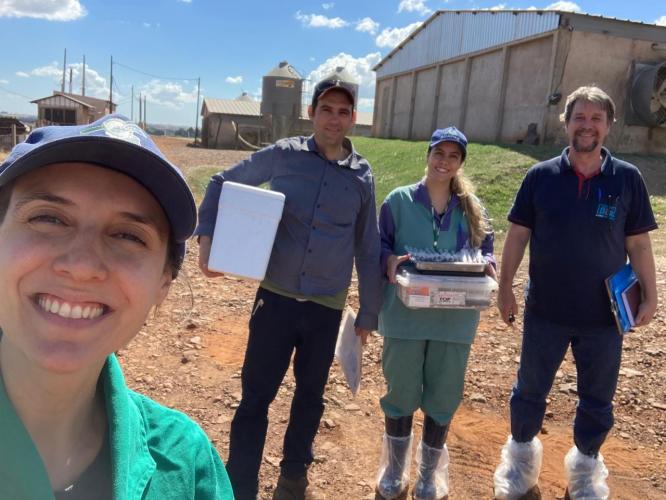 Adapar em fase final da vigilância ativa de aves