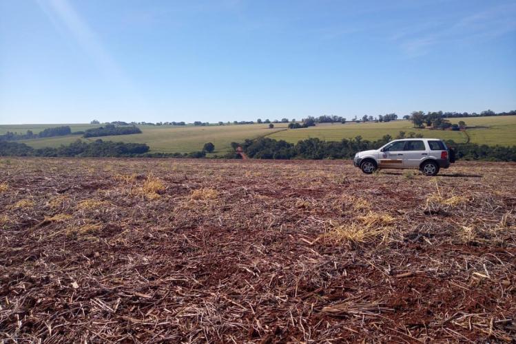 camila_roberta_javorski_ueno-adapar