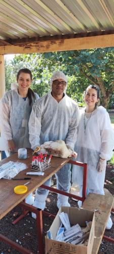 Adapar encerra a vigilância ativa de aves