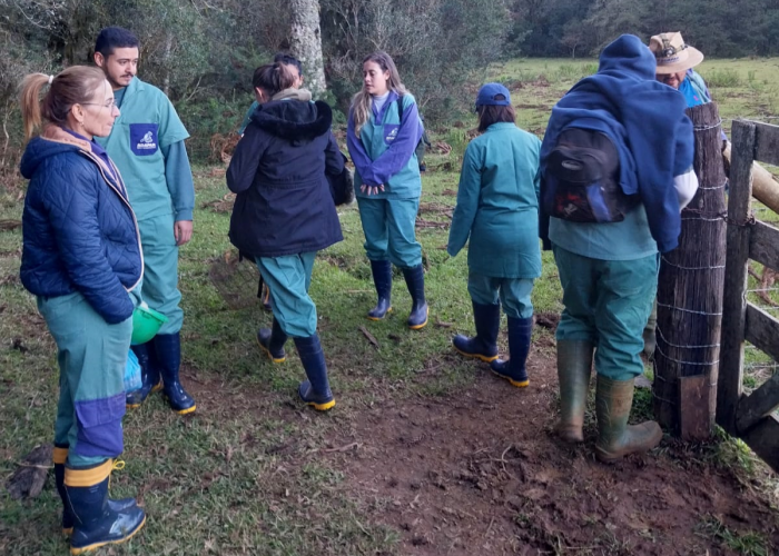 treinamento_raiva_eeb_