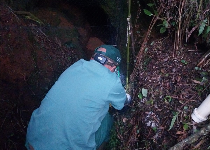 treinamento_raiva_eeb_