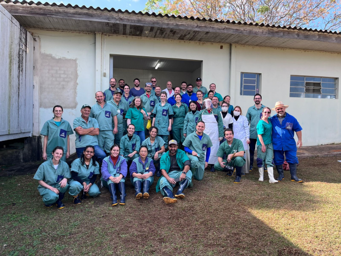 treinamento_raiva_eeb_