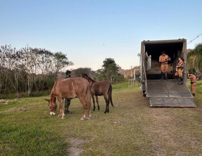 OPERAÇÃO_adapar e iat3