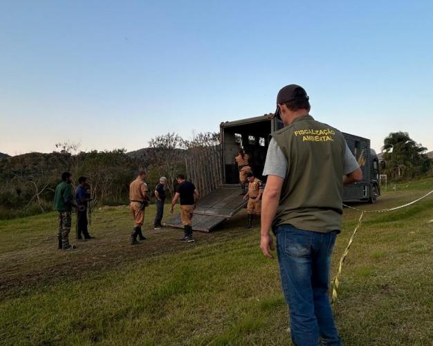 OPERAÇÃO_adapar e iat 4