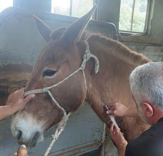 OPERAÇÃO_adapar e iat1