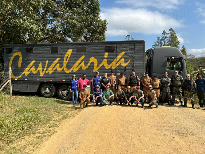 operação IAT_Adapar