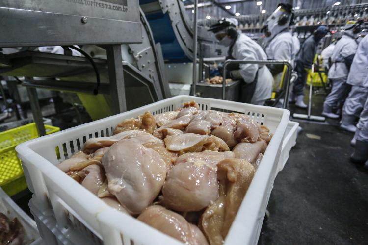 RECORDE DE EXPORT SUÍNOS E FRANGO_paraná
