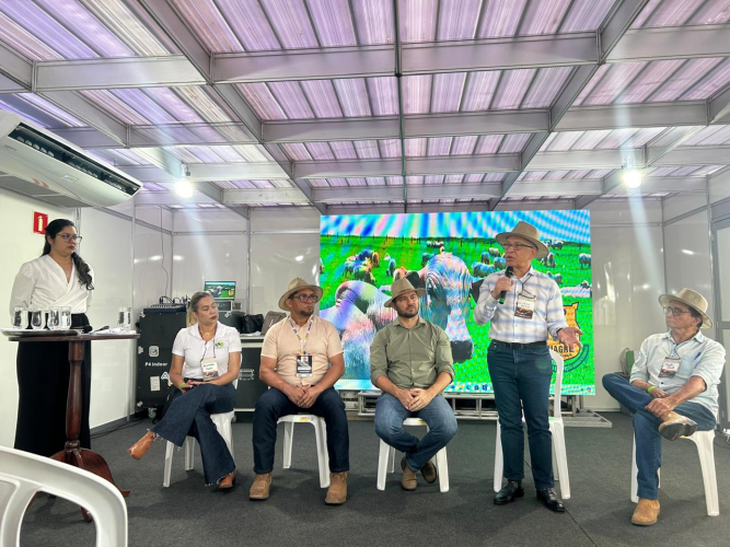 FÓRUM_FEBRE AFTOSA_AP 2