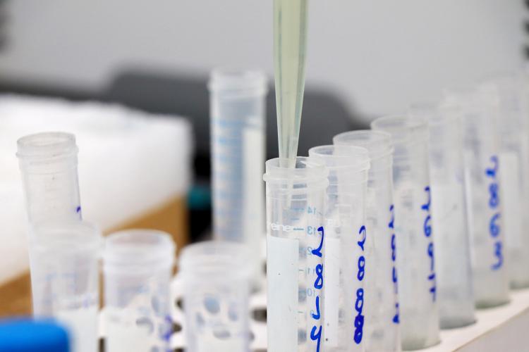 análises laboratoriais_tecpar e adapar