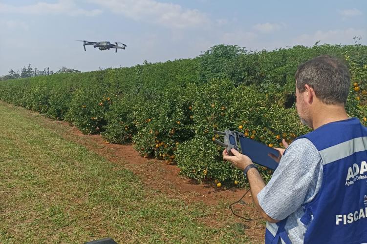 operação greening_adapar3