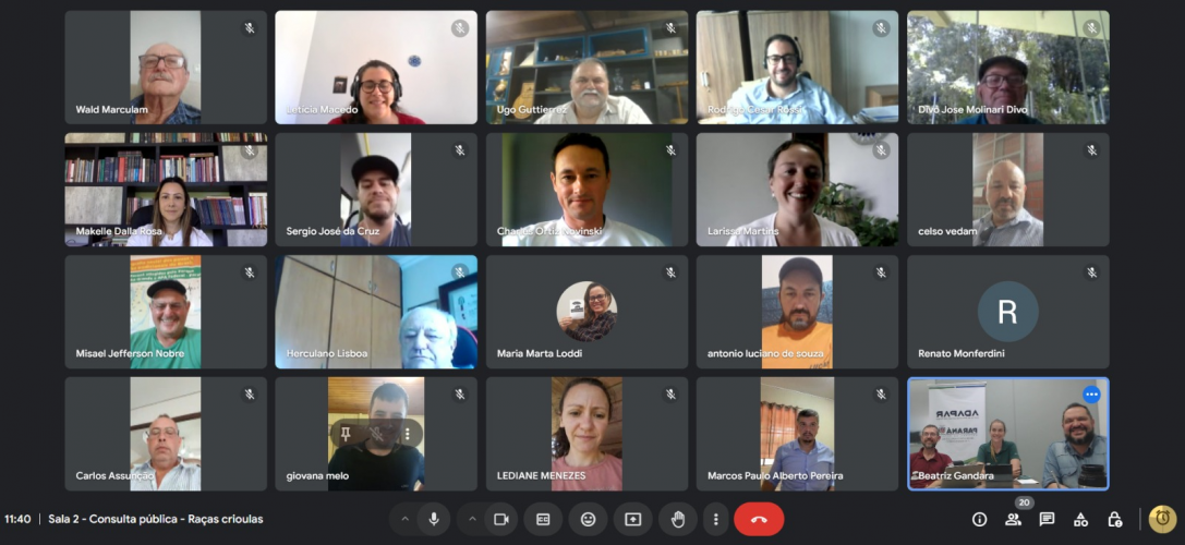 audiência_pública_porco moura