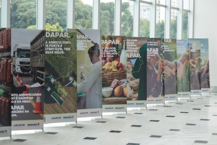 ENTREGA DOS CARROS10