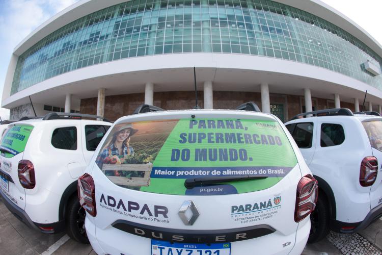 ENTREGA DOS CARROS18