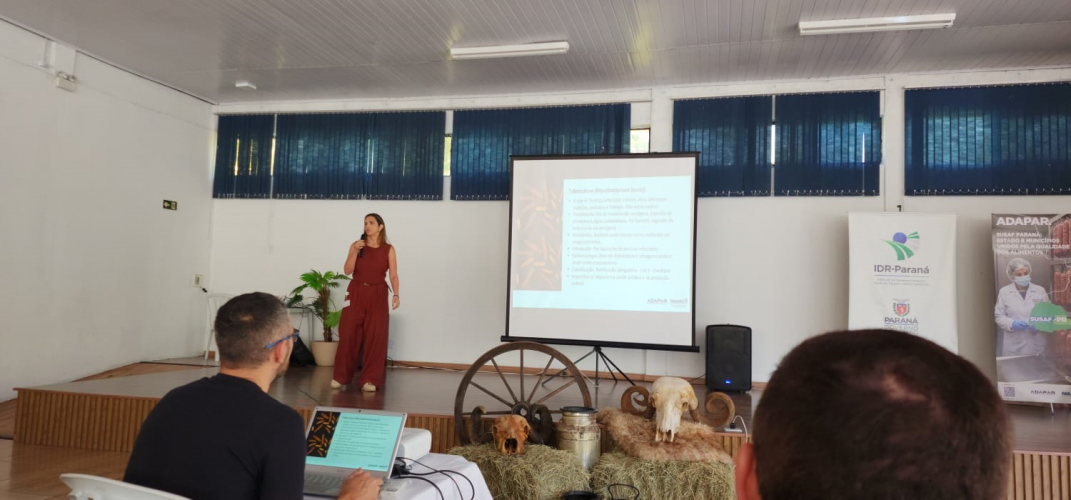 de brucelose e tuberculose3