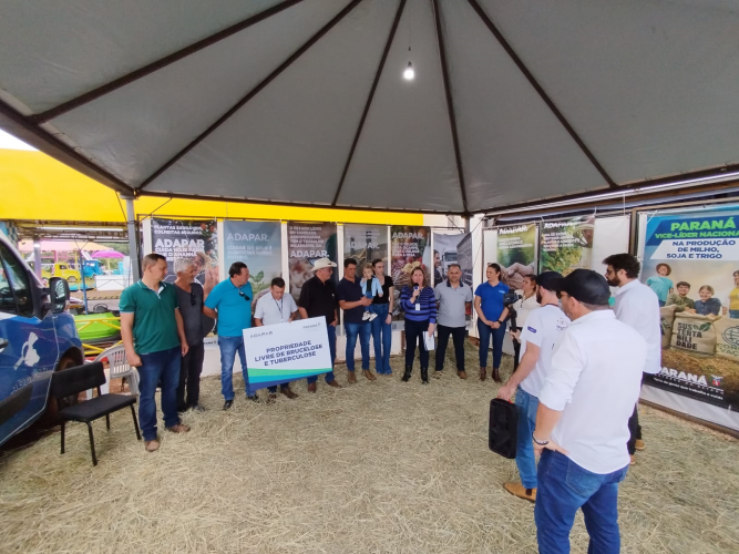 prop_livre_laranjeiras3