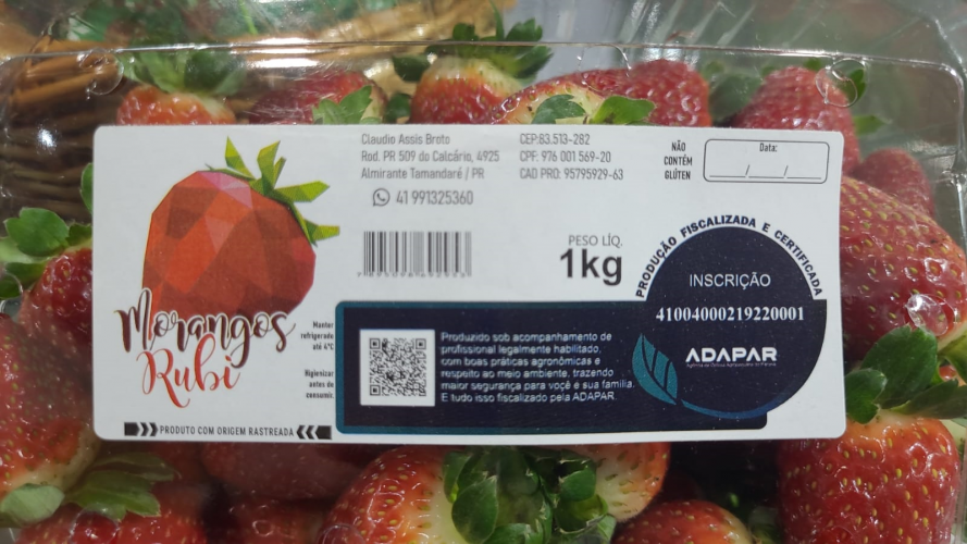 selo morangos_Adapar3