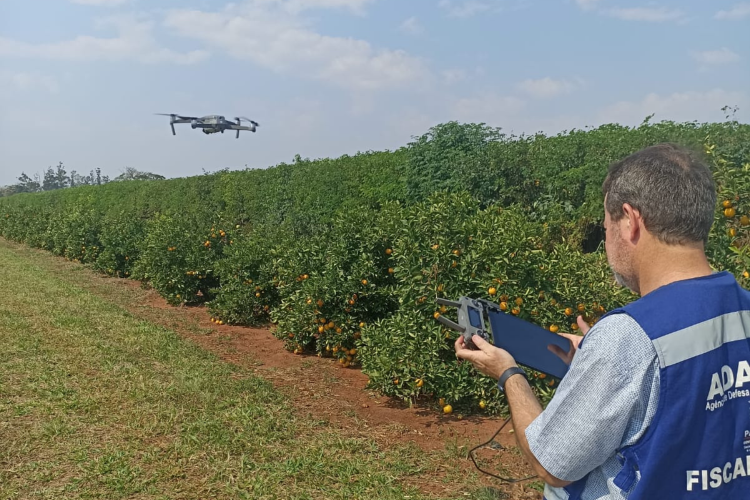 Adapar lança plano para modernizar tecnologia e fortalecer a defesa agropecuária no Paraná