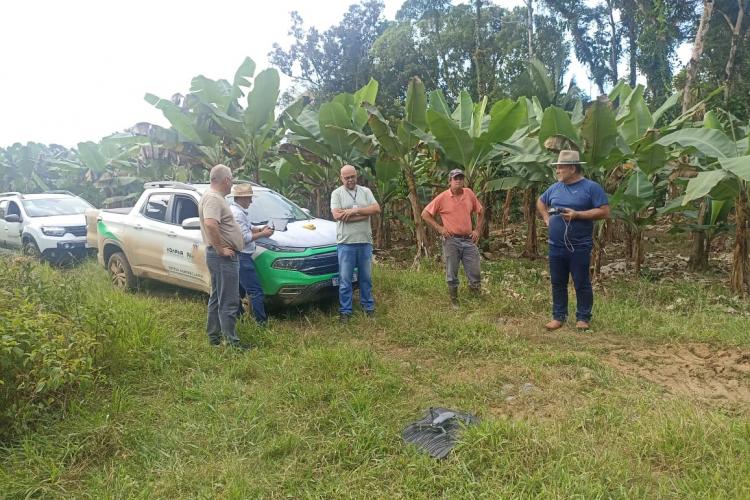 bananicultura_litoral