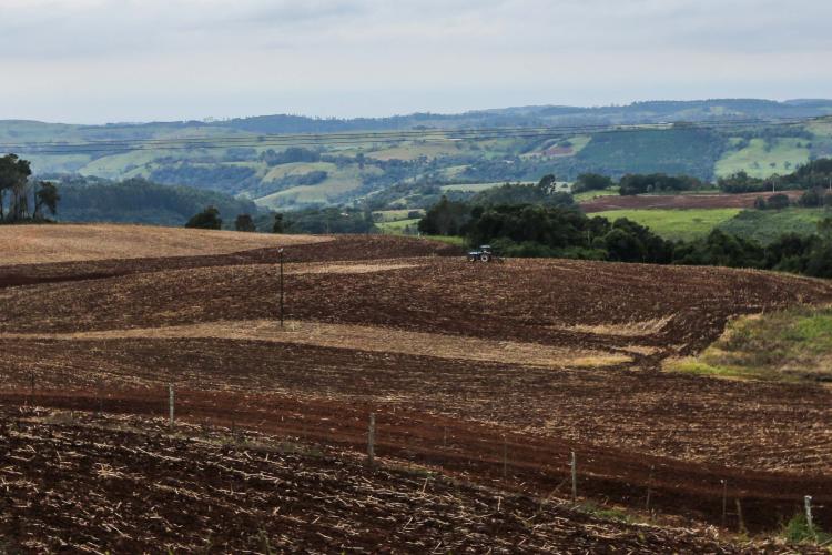 vazio sanitário_região3