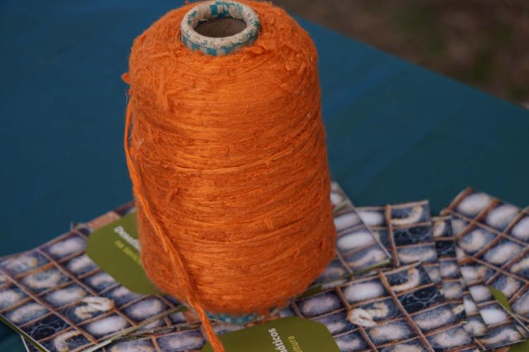 O município de Cruzeiro do Sul, localizado na região Noroeste, recebeu nesta quarta-feira (23) o 41º Encontro de Sericicultores do Paraná. Um dos destaques foi a divulgação das dez finalistas do Concurso Seda Paraná, iniciativa da Secretaria de Estado da Agricultura e do Abastecimento