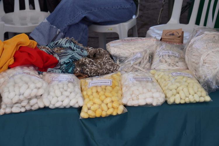 O município de Cruzeiro do Sul, localizado na região Noroeste, recebeu nesta quarta-feira (23) o 41º Encontro de Sericicultores do Paraná. Um dos destaques foi a divulgação das dez finalistas do Concurso Seda Paraná, iniciativa da Secretaria de Estado da Agricultura e do Abastecimento