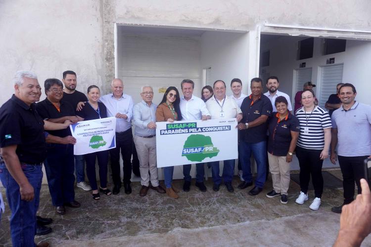 Com novo selo Susaf, cooperativa de Alto Paraná pode vender tilápia para todo Estado