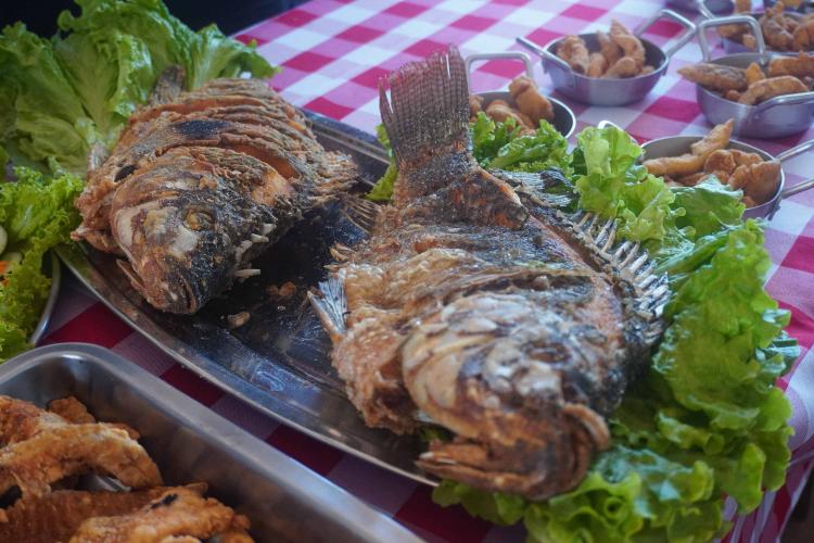 Com novo selo Susaf, cooperativa de Alto Paraná pode vender tilápia para todo Estado