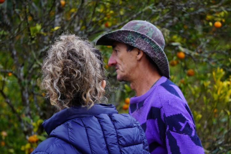 Com a finalidade de proteger os pomares de ponkan em Doutor Ulysses e Cerro Azul, cidades do Vale do Ribeira, na região metropolitana de Curitiba, fiscais da Agência de Defesa Agropecuária do Paraná (Adapar) estão orientando os produtores sobre os cuidados com o greening, principal doença que afeta a citricultura no mundo.