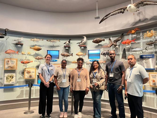 MATÉRIA_ADAPAR_jAPÃO