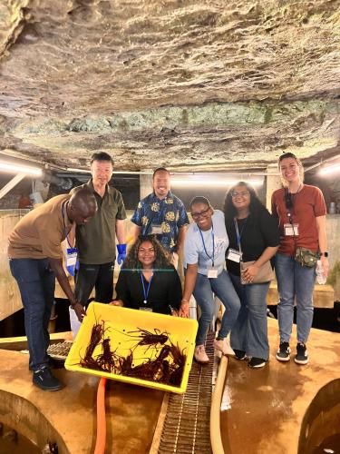 MATÉRIA_ADAPAR_jAPÃO