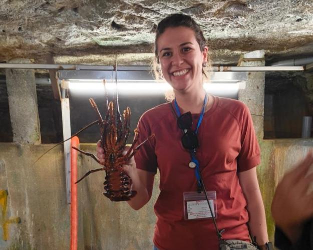 MATÉRIA_ADAPAR_jAPÃO