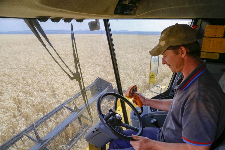 Produtores paranaenses iniciam a colheita do trigo, principal cultura de inverno