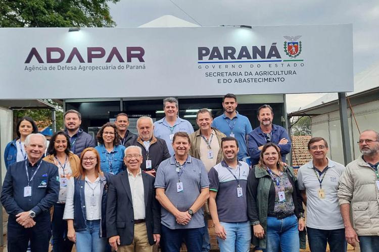 susasf-santo antonio da platina