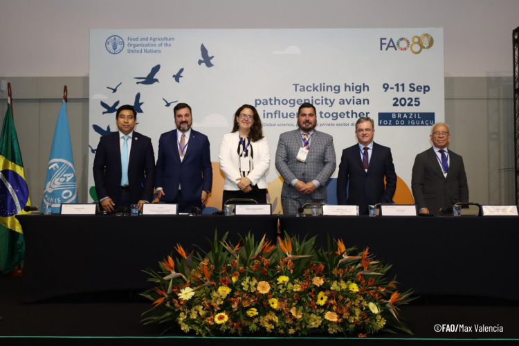 Reunião Global_FAO