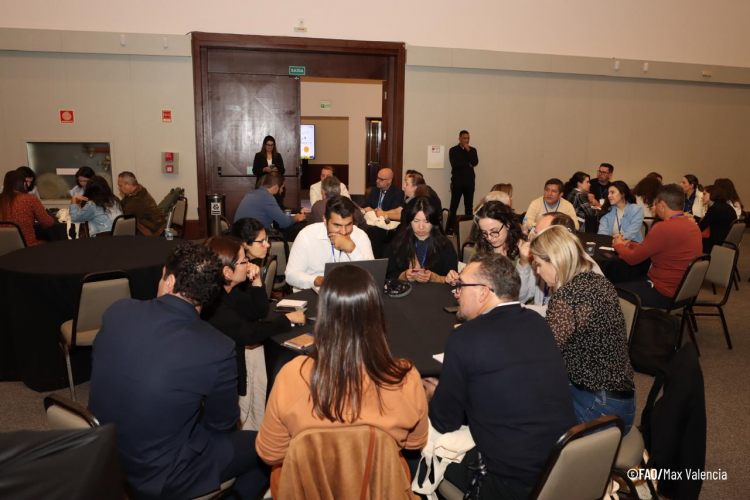 Reunião Global_FAO