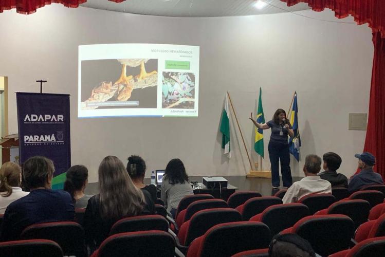 Mobilização no Oeste_Adapar