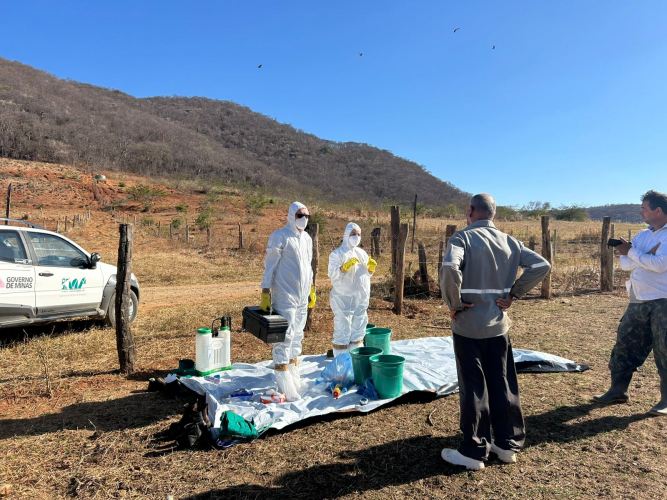 servidores em MG_capacitação FA