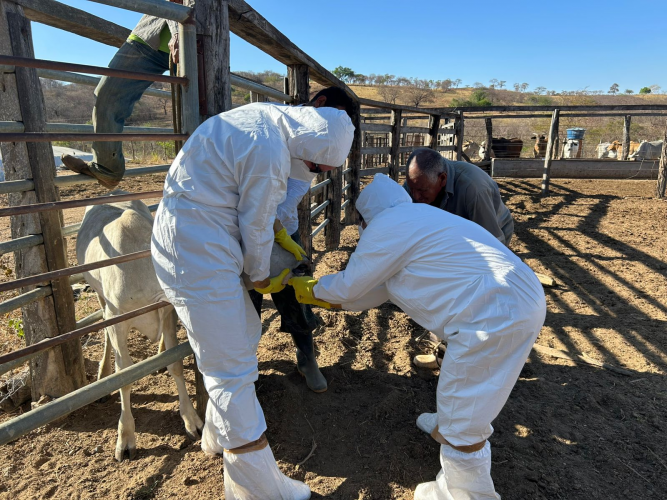 servidores em MG_capacitação FA